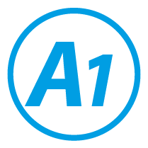 A1